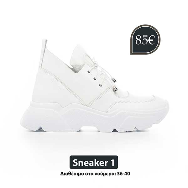 sneaker1