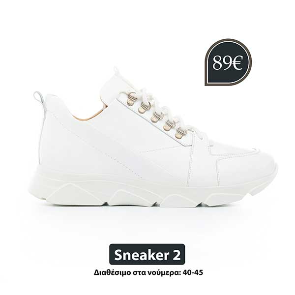 sneaker2